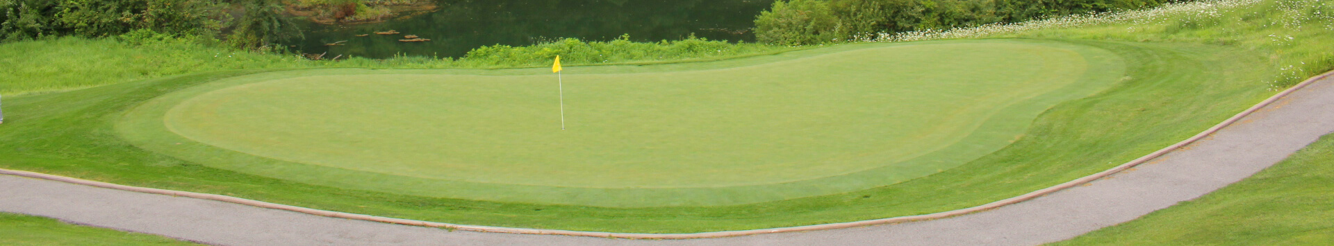 Cart path next to green