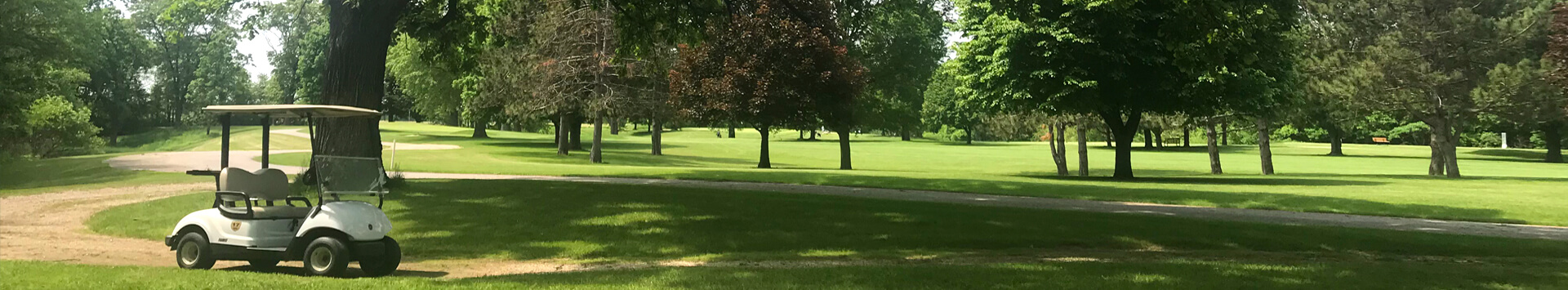 Golf cart parked next to fairway