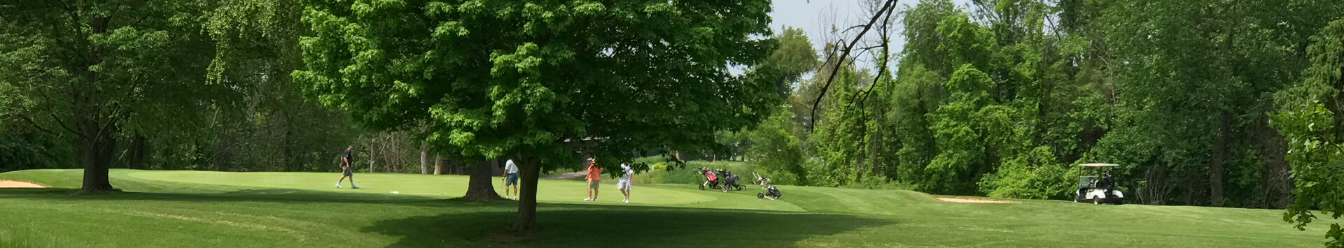 View of the green and fairway at Indian Bluff Golf Course