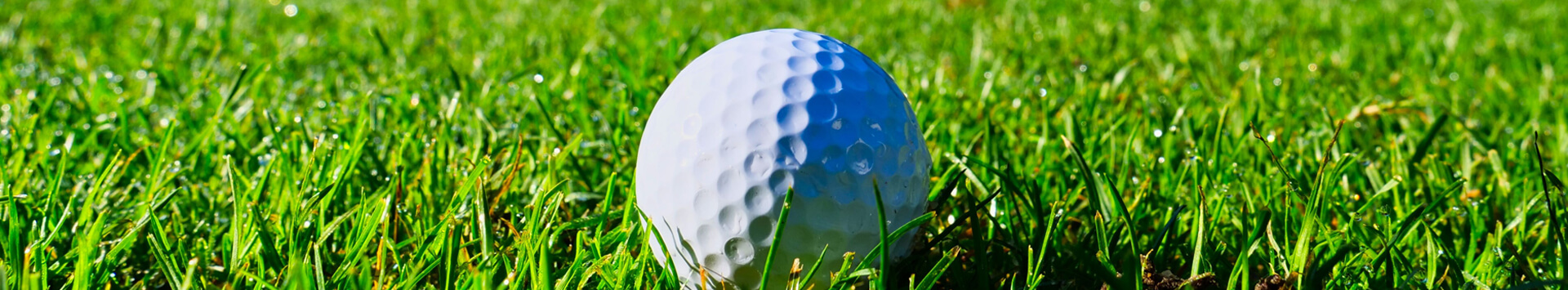 Golf ball on a fairway